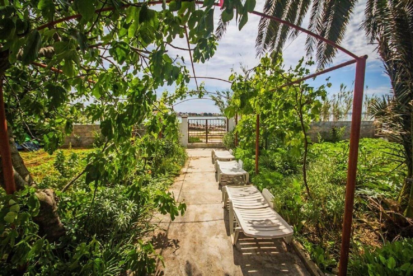 Apartments Teo Privlaka  Εξωτερικό φωτογραφία