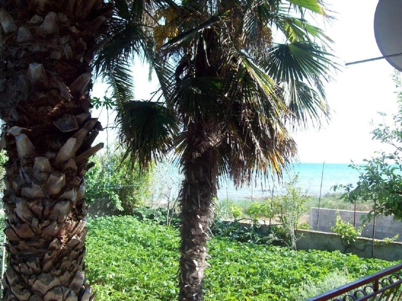 Apartments Teo Privlaka  Εξωτερικό φωτογραφία